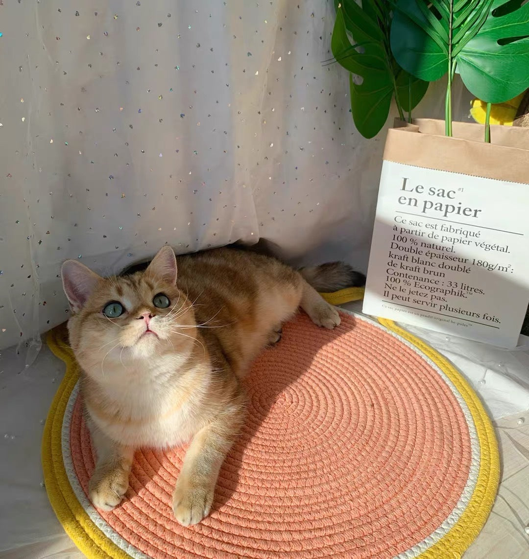 Elevate Your Cat's Playtime with the Cat Climbing Cat Paw Toy